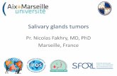 Pr. Nicolas Fakhry, MD, PhD Marseille, France · •Minority of parotid tumours require imaging –Only required if it might change management –Infrequently indicated for clinically