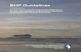 BMP Guidelines - naalakkersuisut.gl/media/Nanoq/Files/... · 6 BMP Guidelines 2011 The EIA-report shall be made in Greenlandic and English. A non-technical summary shall be made in
