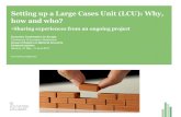 Setting up a Large Cases Unit (LCU): Why, how and who? · 2017-05-24 · Setting up a Large Cases Unit (LCU): Why, how and who? -Sharing experiences from an ongoing project Economic