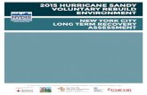 2015 HURRICANE SANDY VOLUNTARY REBUILD ......This 2015 Hurricane Sandy Voluntary Rebuild Environment: NYC Long Term Recovery Assessment is a statistical and narrative analysis of the