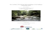 The condition of freshwater fish assemblages in the …...The condition of freshwater fish assemblages in the Bellinger Catchment, NSW Dean Gilligan NSW Department of Industry & Investment