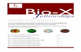 Bio -X · project is the design, fabrication, and characterization of an artificial cornea based on a novel class of double network hydrogels. These “biomimetic” materials have