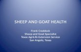 SHEEP AND GOAT HEALTH - Texas A&M AgriLife€¦ · PREGNANCY TOXEMIA • Occurs in overfat, confined goats carrying twins or triplets • Energy deficient, uses own fat reserves,