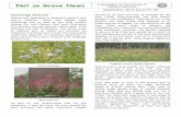 Not so Grave News # 14 · Friends TOPICAL Not so Grave News September 2014 Page 3 Issue Nº 20 After a successful inspection and interview, the Cemetery has again been award a Green