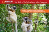 Lemurs, Biodiversity and Community’ A Community Forest ...€¦ · ular lemurs, reptiles and amphibians – with community initiatives and environmental education, building the