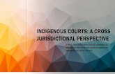Indigenous courts: a cross jurisdictional perspective · (Foetal Alcohol Spectrum Disorder, Cognitive/intellectual impairments, Acquired Brain injury, Behavioural disorders) • Alcohol/drug