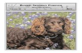 BOYKIN SPANIELS FOREVER › BSF-vol3-06 color.pdfPAGE 3 BOYKIN SPANIELS FOREVER Upcoming 2006 Boykin Events AKC Events July •1-2 - Amherst Junction, WI - English Cocker Spaniel Club