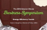 Energy Efficiency Trends - Ameren Illinois Energy ...€¦ · Midwest Energy Efficiency Alliance ... (or regulator) requirement on public utilities to reduce energy sales through