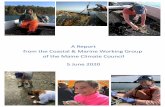 A Report from the Coastal & Marine Working Group of the ... · A REPORT FROM THE COASTAL AND MARINE WORKING GROUP MAINE CLIMATE COUNCIL 5 JUNE 2020 Contents Introduction 1 Caveats
