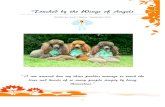 Touched by the Wings of Angels - Bijou Standard Poodles · TOUCHED BY THE WINGS OF ANGELS Written by Laurie J. Rollins ~ September 2014 Sunday, September 7th, 2014, was a lovely,