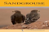 Sandgrouse - osme › ... › 2020 › 03 › Sandgrouse42-1-7.pdf · Sandgrouse 1 Sandgrouse volume 42 (1) 2020 2 The distribution and numbers of Dalmatian Pelican Pelecanus crispus