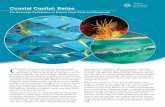 Belize’s MPAs: A Valuable but Under-funded System Actions ...pdf.wri.org/coastal_capital_belize_brochure.pdf · Coastal Capital: Belize ... cult to curb illegal fishing and monitor