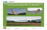 Maintaining and Improving Habitat for Hummingbirds in Alaska · Any hummingbirds observed that don’t seem to quite meet the descriptions provided below, should be photographed if