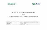 West of Scotland Guidelines for Malignant Spinal Cord Compression · 2019-04-15 · Final Published West of Scotland Guidelines for Malignant Spinal Cord Compression/Oct 2013 iv Arrange