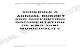 SCHEDULE A ANNUAL BUDGET AND SUPPORTING DOCUMENTATION OF ...kwasani.co.za › upload › Annual Budget 201314 - Final.doc sent.pdf · 1.2. The financial position, cash flow budget,