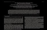 Microplate Reader Analysis of Triatomine Saliva Effect on ... · Vol. 10, No. 1, 2007 Microplate Reader Analysis of Triatomine Saliva Effect on Erythrocyte Aggregation 33 Figure 2.