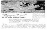 The Peakbagging Page › Magazine_pdf › Desert_Sept1939b.pdf · to the time when prehistoric monsters once roamed those hills. We fancied our- selves hunting not for cold, inanimate