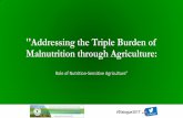 ''Addressing the Triple Burden of Malnutrition through ...dialogue2017.fanrpan.org/sites/default/files/Dyborn Chibonga.pdf · 2017 FANRPAN Regional Food and Nutrition Security Policy