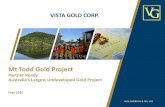 VISTA GOLD CORP. · 2020-05-18 · VISTA GOLD CORP. NYSE AMERICAN & TSX: VGZ 2 FORWARD LOOKING STATEMENTS This presentation contains forward-looking statements within the meaning