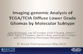 Imaging-genomic Analysis of TCGA/TCIA Diffuse Lower Grade ... › Multimedia › Slides › TCGA4 › 16_Poisson.… · Imaging-genomic Analysis of TCGA/TCIA Diffuse Lower Grade Gliomas