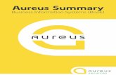 Aureus Summary · Summary - Business Information Systems Chapter 1: Managing the Digital World • Technological advances have enabled a move into the digital world, which is often