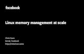 Linux memory management at scale - FOSDEM · fbtax2cgrouphierarchy web system.slice io.latency:75ms Chef hostcritical.slice memory.min:352M io.latency:50ms sshd syslog workload.slice