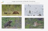Large carnivores in Nordic Countries - European Commissionec.europa.eu/environment/nature/conservation/species/carnivores/pd… · Large carnivores in Nordic Countries Ilpo Kojola,