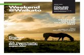 20 JULY, 2018 ISSUE #364 Weekend FOALING @Waikato › wp-content › uploads › 2018 › 07 › ... · BELOW / Pink Graffiti Good things come to those who wait as Waikato Stud found
