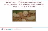WHOLE CELL PERTUSSIS VACCINES AND DEVELOPMENT OF ... › IMG › pdf › intravacc... · Institute for Translational Vaccinology PERTUSSIS SEROLOGICAL POTENCY TEST: SUMMARY OF ACTIVITIES
