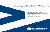 2018 Childhood Lead Surveillance Annual Report › topics › Documents...source of lead exposure when it flows through older lead plumbing or pipes where lead solder has been used