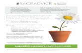 What SageAdvice is What SageAdvice doesgis401k.com/_Assets/docs/Flyer-SageAdvice-GIS.pdf · What SageAdvice is Your online service to help manage your Global Imaging Systems 401(k)