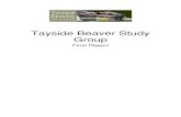 Tayside Beaver Study Group - Scottish Natural Heritage · Tayside Beaver Study Group Final Report Executive summary Background The Tayside Beaver Study Group was established in 2012