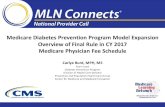 Medicare Diabetes Prevention Program Expanded Model Overview · Overview of Final Rule in CY 2017 Medicare Physician Fee Schedule Carlye Burd, MPH, MS ... Medicare Physician Fee Schedule