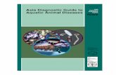 FISHERIES Aquatic Animal Diseases TECHNICAL PAPER 402/2Diagnostic Guide to Aquatic Animal Diseases or ‘Asia Diagnostic Guide’. The Asia Diagnos-tic Guide is the third and last