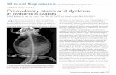 Raffaele Melidone, Dr. med. vet.; Joyce S. Knoll, VMD, PhD, … · 2015-04-09 · A 2-year-old intact female bearded dragon (Pogona vitticeps) was presented to Tufts University’s