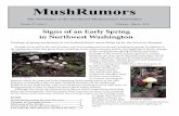 MushRumors - Northwest Mushroomers Association€¦ · MushRumors is published in the months of March, June, September, November, and January online at northwestmushroomers.org. Club
