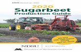 A1698 (Revised Jan. 2020) A1698 2020 Sugarbeet …...Valley, Michigan and irrigated beet-growing areas indicates 400 to 600 pounds of sugar per acre are lost as row widths increase