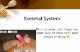 3 Skeletal System Presentation copy Skeletal System... · Functions of the Skeletal System There are SIX main functions of the Skeletal System. These include: 1. Providing support