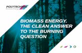 BIOMASS ENERGY. THE CLEAN ANSWER TO THE BURNING QUESTION › Rotorua2030 › portfolios... · 2015-05-21 · Solid Biomass in 2011 •Total sales of 2.3 billion NZD were generated