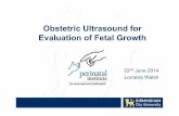 Obstetric Ultrasound for Evaluation of FetalGrowth · Femur Length • The femur should be imaged lying as close as possible to the horizontal plane, angle of insonationof the ultrasound
