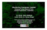 Monitoring Orangutan Habitat - National Park Service · Monitoring Orangutan Habitat Tanjung Puting National Park, Central Kalimantan, Indonesia Dr. Biruté Mary Galdikas Leslie Smith,