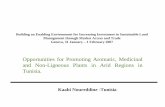 Opportunities for Promoting Aromatic, Medicinal and Non … · 2007-02-12 · Opportunities for Promoting Aromatic, Medicinal and Non-Ligneous Plants in Arid Regions in Tunisia. Building