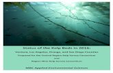 Status of the Kelp Beds â€؛ 2016 â€؛ Status_of_the_Kelp_Beds_2016_Ventura... Status of the Kelp Beds