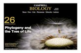 TENTH EDITION 26 Biology/Unit 8/Unit 8/Chap 26... · CAMPBELL BIOLOGY Reece • Urry • Cain • Wasserman • Minorsky • Jackson © 2014 Pearson Education, Inc. TENTH EDITION