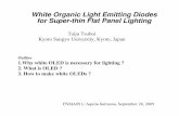 White Organic Light Emitting Diodes for Super-thin Flat ...skaczmarek.zut.edu.pl/To Poland LAquila Slumona Italy Sept 28 2009.pdfXe lamp ： 25 ... SAMSUNG AMOLED TL320 Digital camera