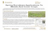 Spring Burndown Applications To Weeds and Cover Crops › btny › weedscience › Documents... · 0.25 lb ae/A of dicamba (8 ounces of a 4 lb ae/gal dicamba product), and 1-inch