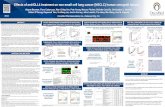 Effects of anti-DLL4 treatment on non-small cell lung ...posters.omed.s3.amazonaws.com/...DLL4_NSCLC_PDX.pdf · cancer initiation and progression. Delta-like ligand 4 (DLL4) activates
