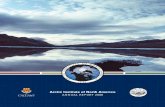 Arctic Institute of North America - AINA Publications Serverpubs.aina.ucalgary.ca/aina/AINAAR2006.pdf · The Arctic Institute of North America University of Calgary 2500 University