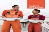 Alaska's Wild Salmon...Another branch evolved into the group that includes Pacific and Atlantic salmon. These two groups diverged from a common ancestor approximately 15 to 20 million