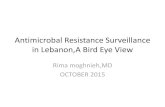 Antimicrobal Resistance Surveillance in Lebanon,A Bird Eye ... · Antimicrobal Resistance Surveillance in Lebanon,A Bird Eye View Rima moghnieh,MD OCTOBER 2015 . Anyimicrobial Resistance